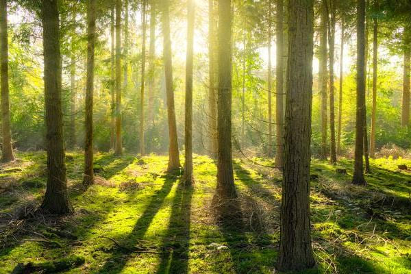 img-environment-600x400.jpg