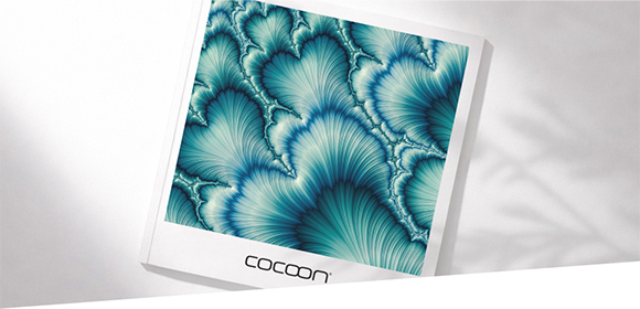 Cocoon_Brandpage_March26_Img4.jpg