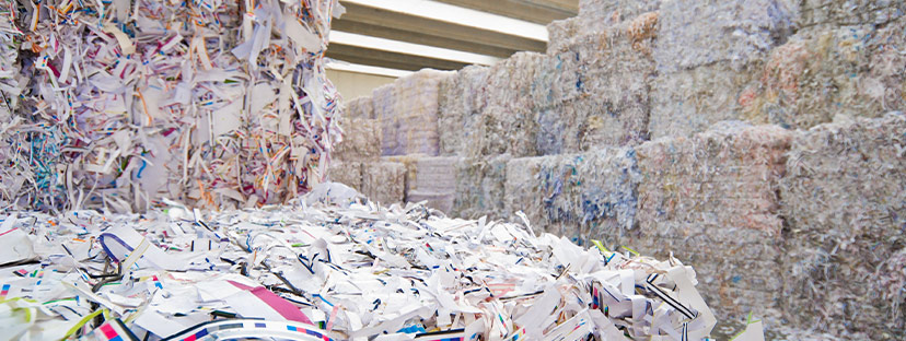 Photo-2-eco-responsible-packaging-.jpg