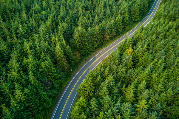 Green Connection