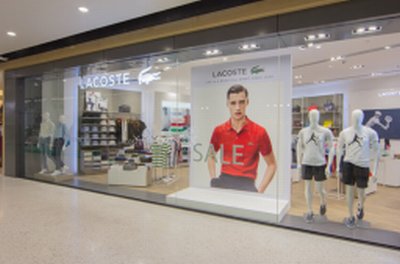 Cartón Display