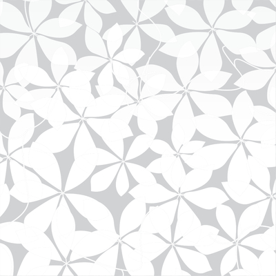 Coala Window Decor Gradiation