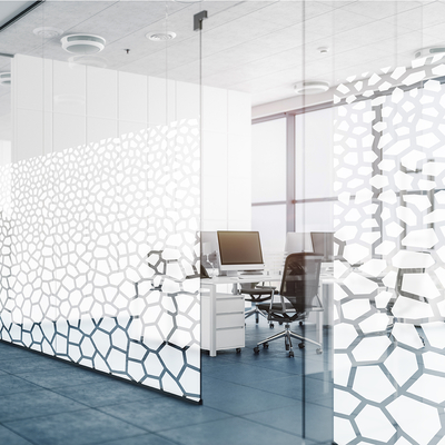 Coala Window Decor Gradiation
