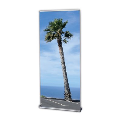 Coala Roll-Up PET S - Film de poliéster con trasera gris