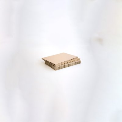 Coala Air Board 2D