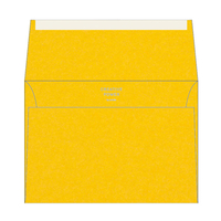 Olin Colours Envelopes