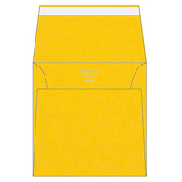 Olin Colours Envelopes