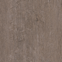 Coala Interior Film Madera