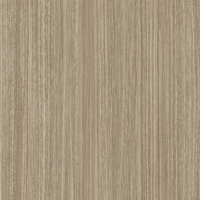 Coala Interior Film Madera
