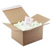 Chips de Relleno Master'in Access - Relleno para Cajas