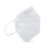 Mascarilla FFP2 - Protección Respiratoria - Equipo de Protección Individual