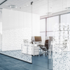 Coala Window Decor Gradiation