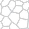 Coala Window Decor Gradiation